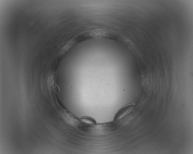 X0000062610382200601040946