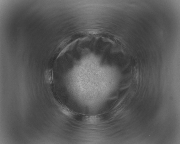 X0000062610383200601040946