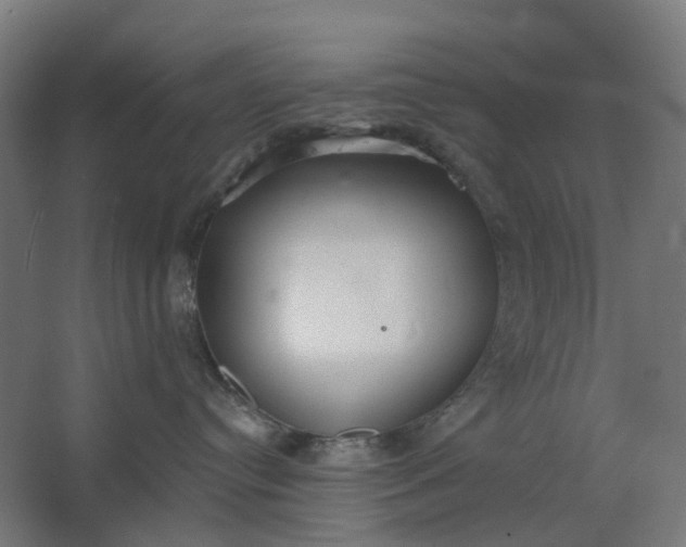 X0000062610384200601040946