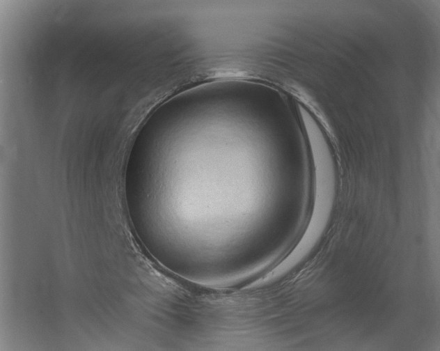 X0000062610385200601040945