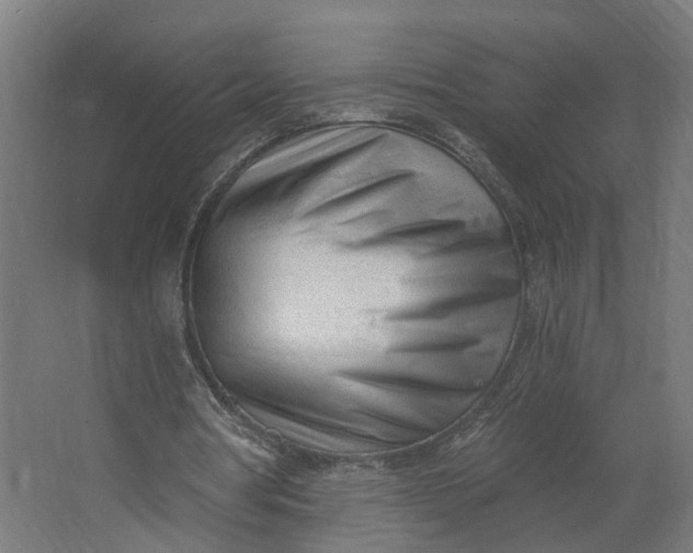 X0000062610386200601040945