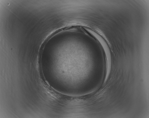 X0000062610387200601040945