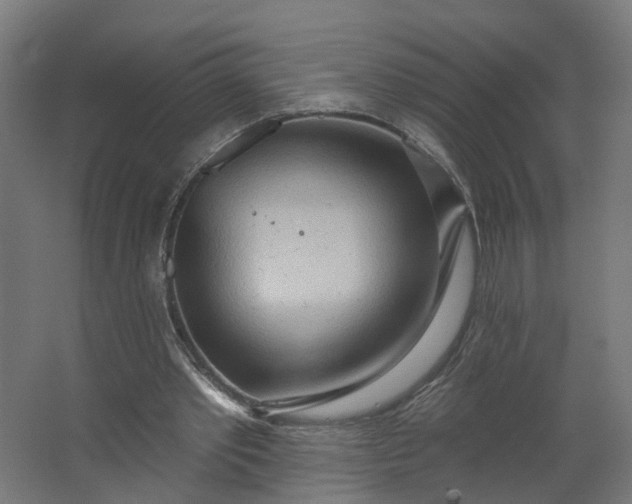 X0000062610389200601040945