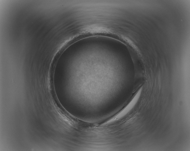 X0000062610391200601040945