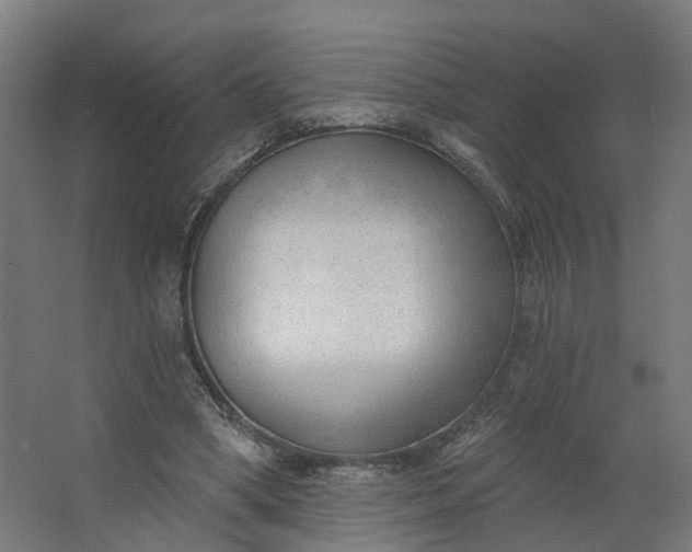 X0000062610394200601040944