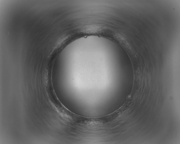 X0000062610400200601040944