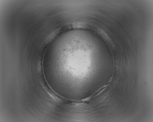 X0000062610401200601040944