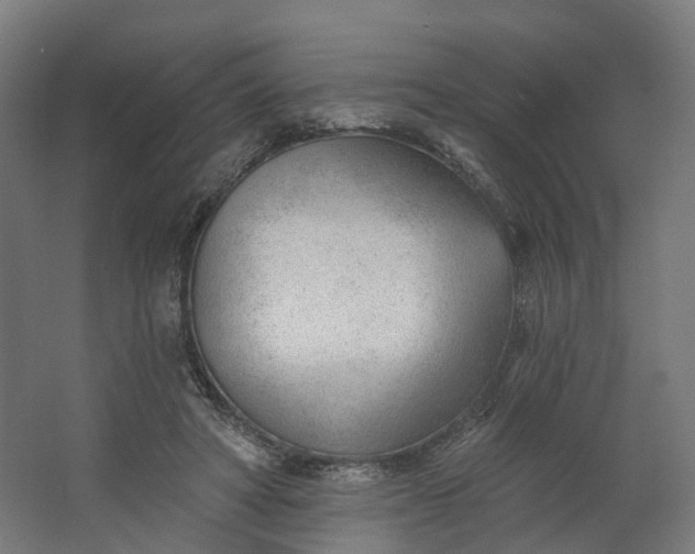 X0000062610402200601040944