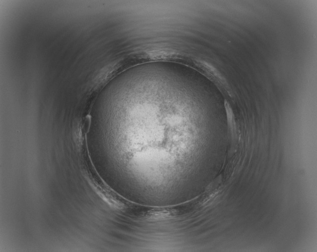 X0000062610405200601040944