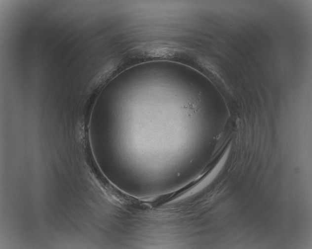 X0000062610407200601040944