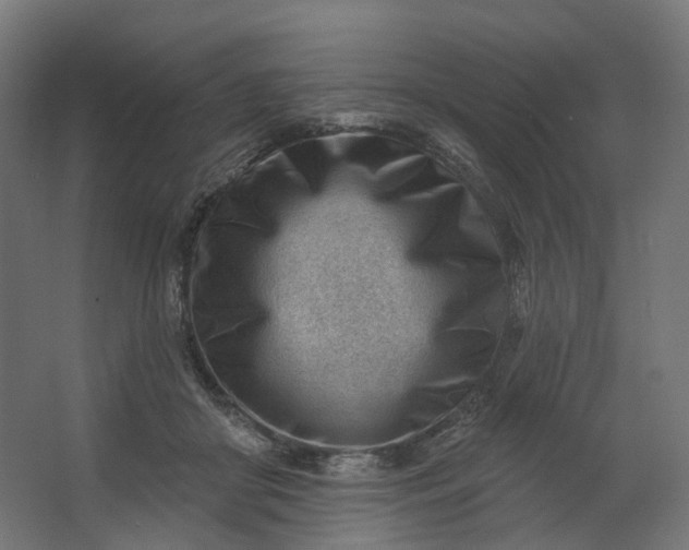 X0000062610410200601040944