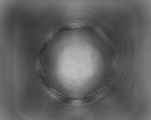 X0000062610411200601040944