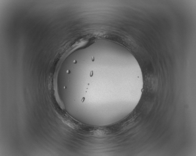 X0000062610412200601040944