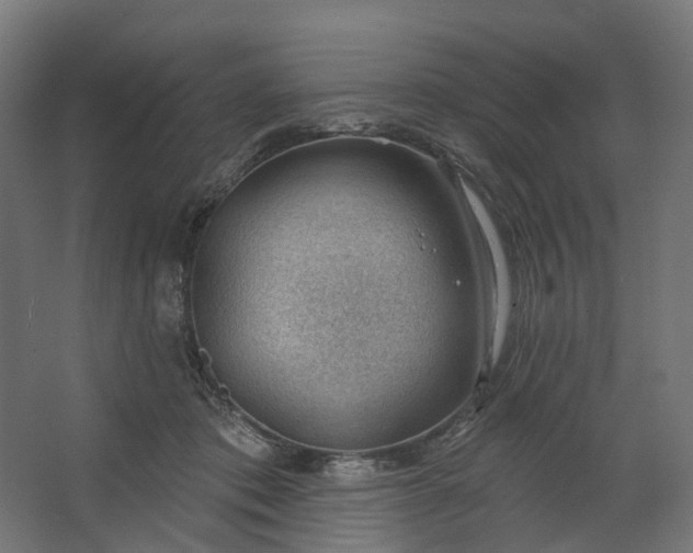 X0000062610413200601040944