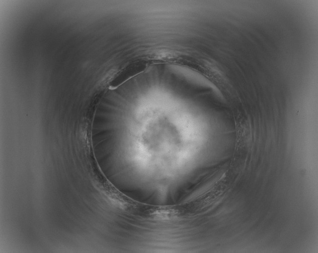 X0000062610415200601040944