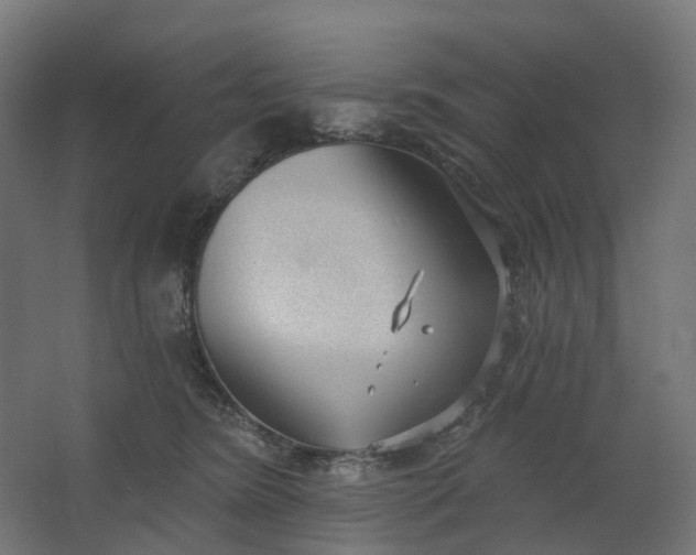 X0000062610420200601040944