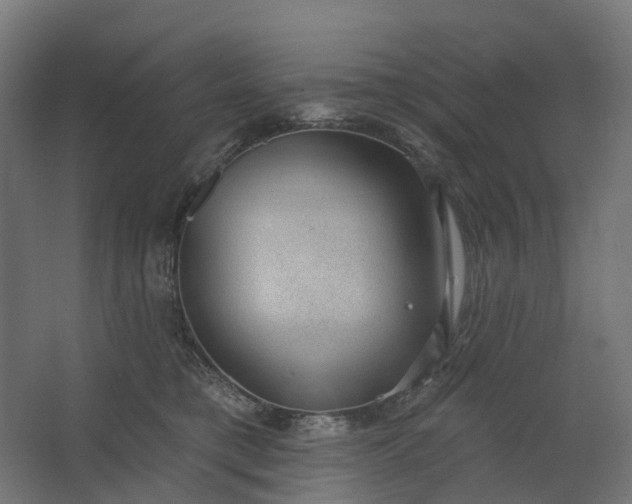 X0000062610421200601040944