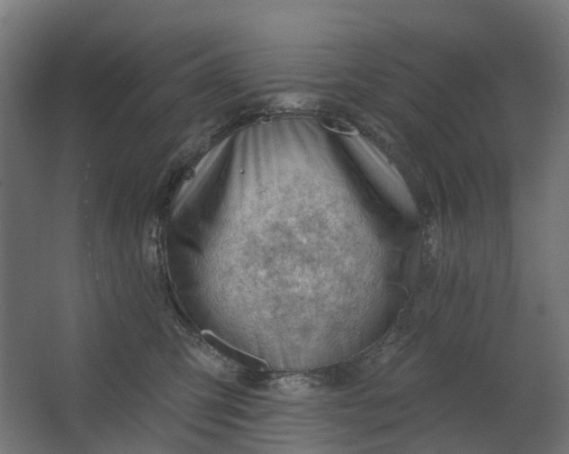 X0000062610423200601040944