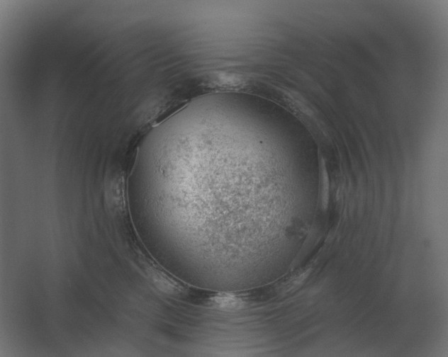 X0000062610425200601040944