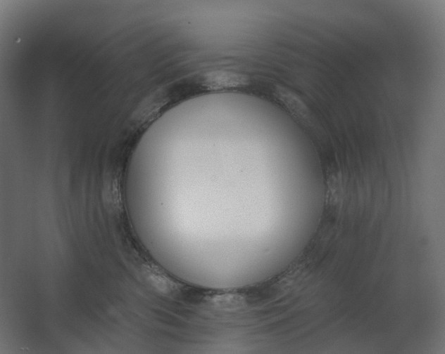 X0000062610426200601040944