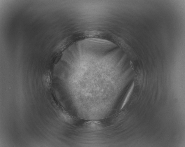 X0000062610427200601040944