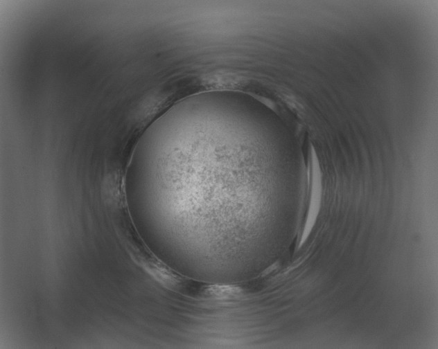 X0000062610429200601040944