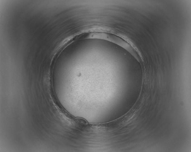 X0000062610437200601040943