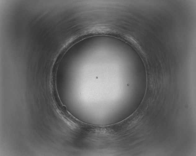 X0000062610439200601040943