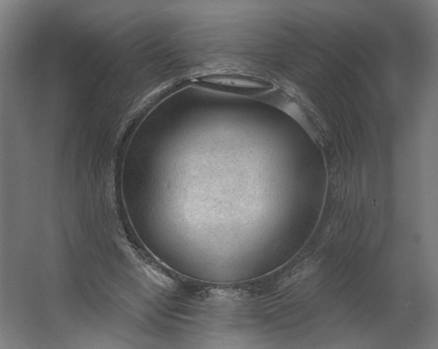 X0000062610442200601040943