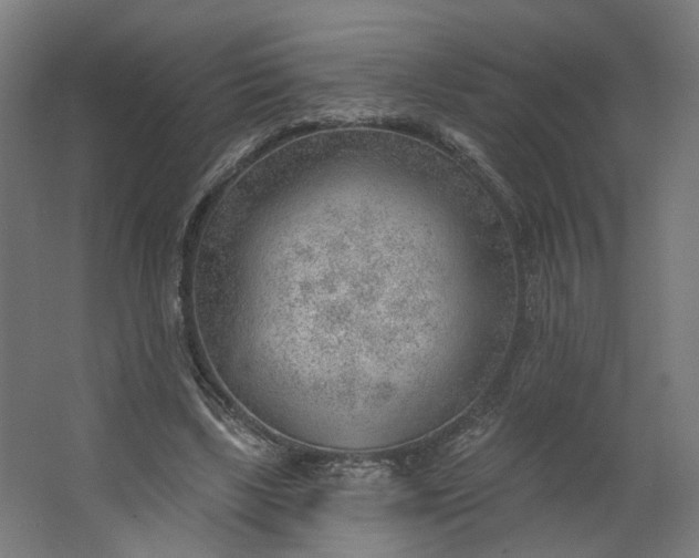 X0000062610443200601040943