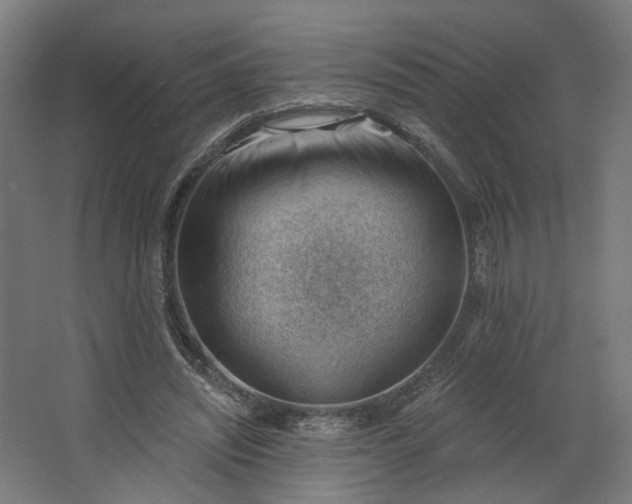 X0000062610444200601040943