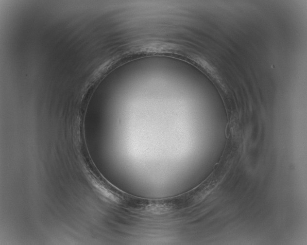 X0000062610445200601040943