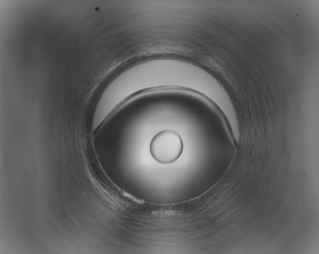 X0000062610448200601040943