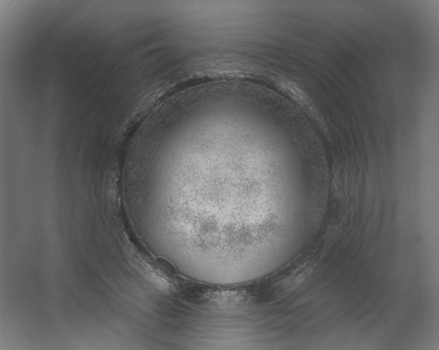 X0000062610449200601040943