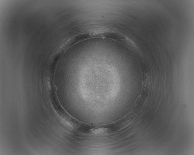 X0000062610452200601040943