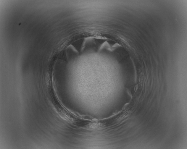 X0000062610459200601040943