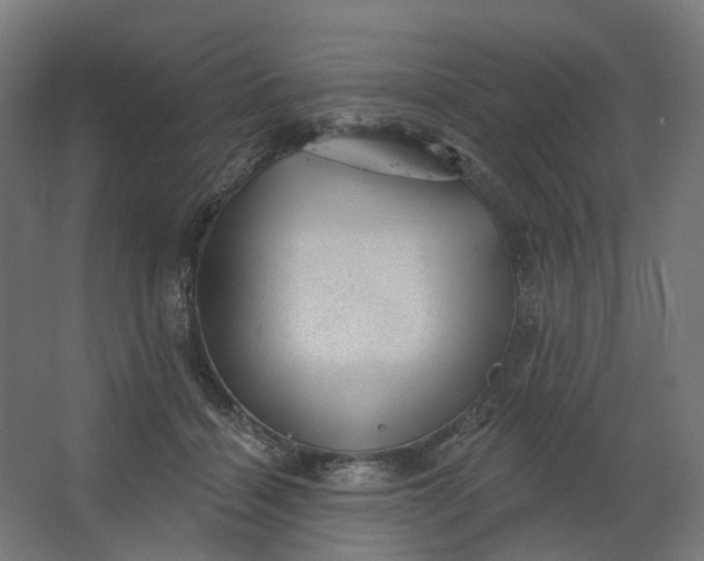 X0000062610460200601040943