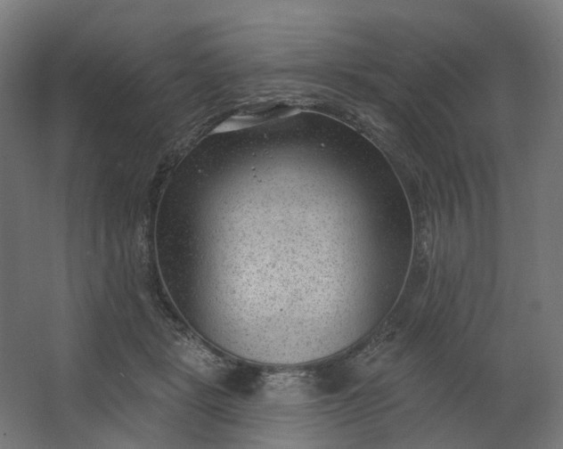 X0000062610461200601040943