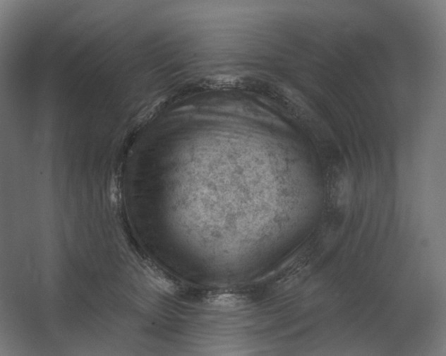 X0000062610467200601040944