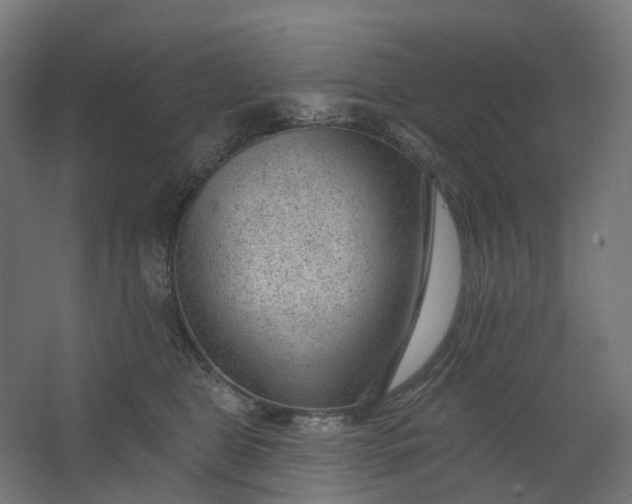 X0000062610469200601040944