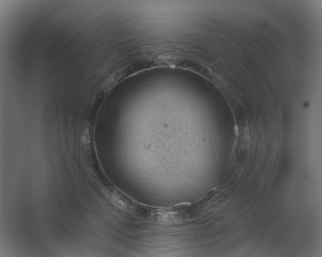 X0000062610472200601040944