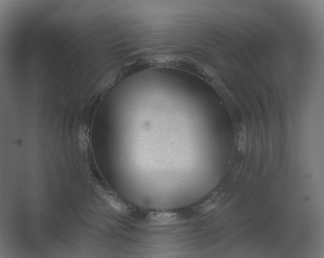 X0000062610476200601040944