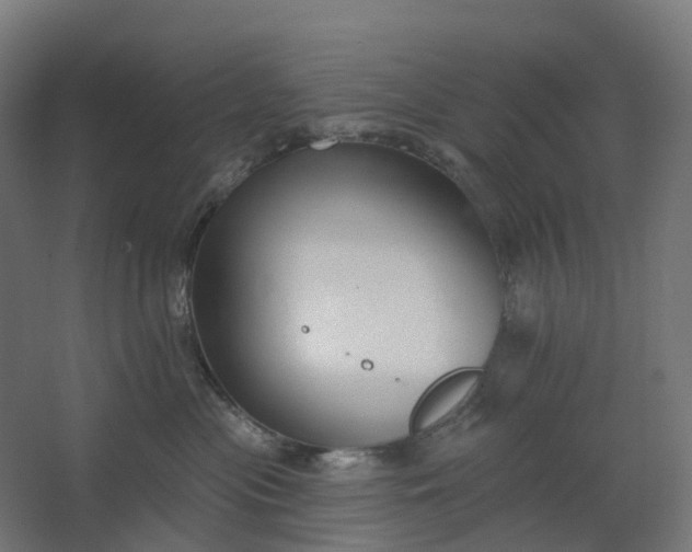 X0000062610477200601040944