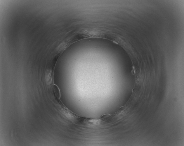 X0000062610478200601040944