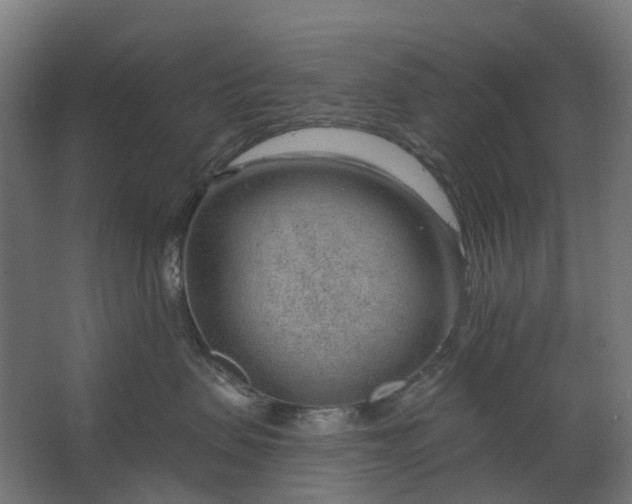 X0000062610479200601040944