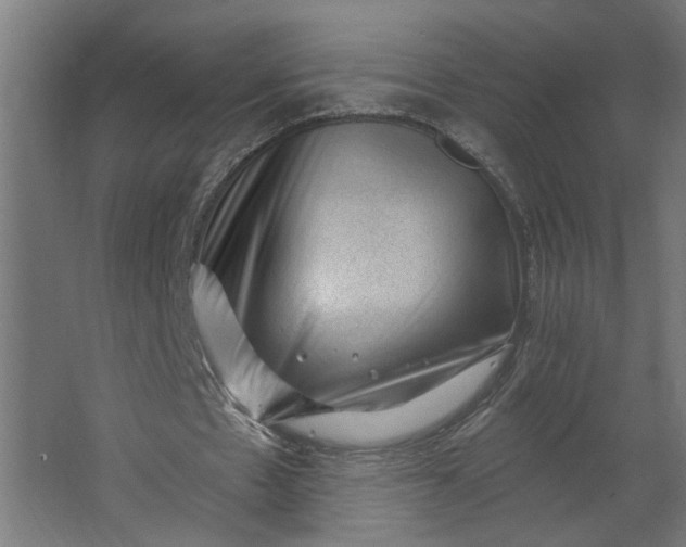 X0000062610481200601040943