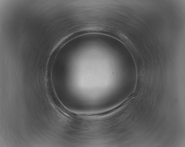 X0000062610484200601040943