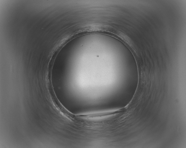 X0000062610485200601040943