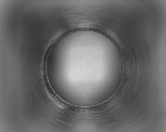 X0000062610486200601040943