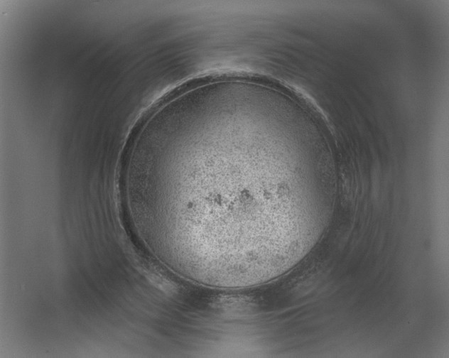 X0000062610487200601040943